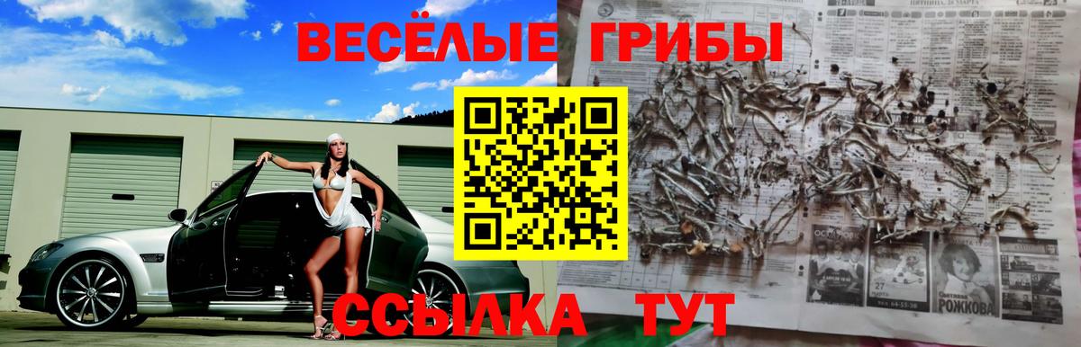 Галлюциногенные грибы Magic Shrooms Белореченск